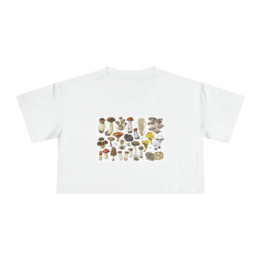 Women's Crop Tee
