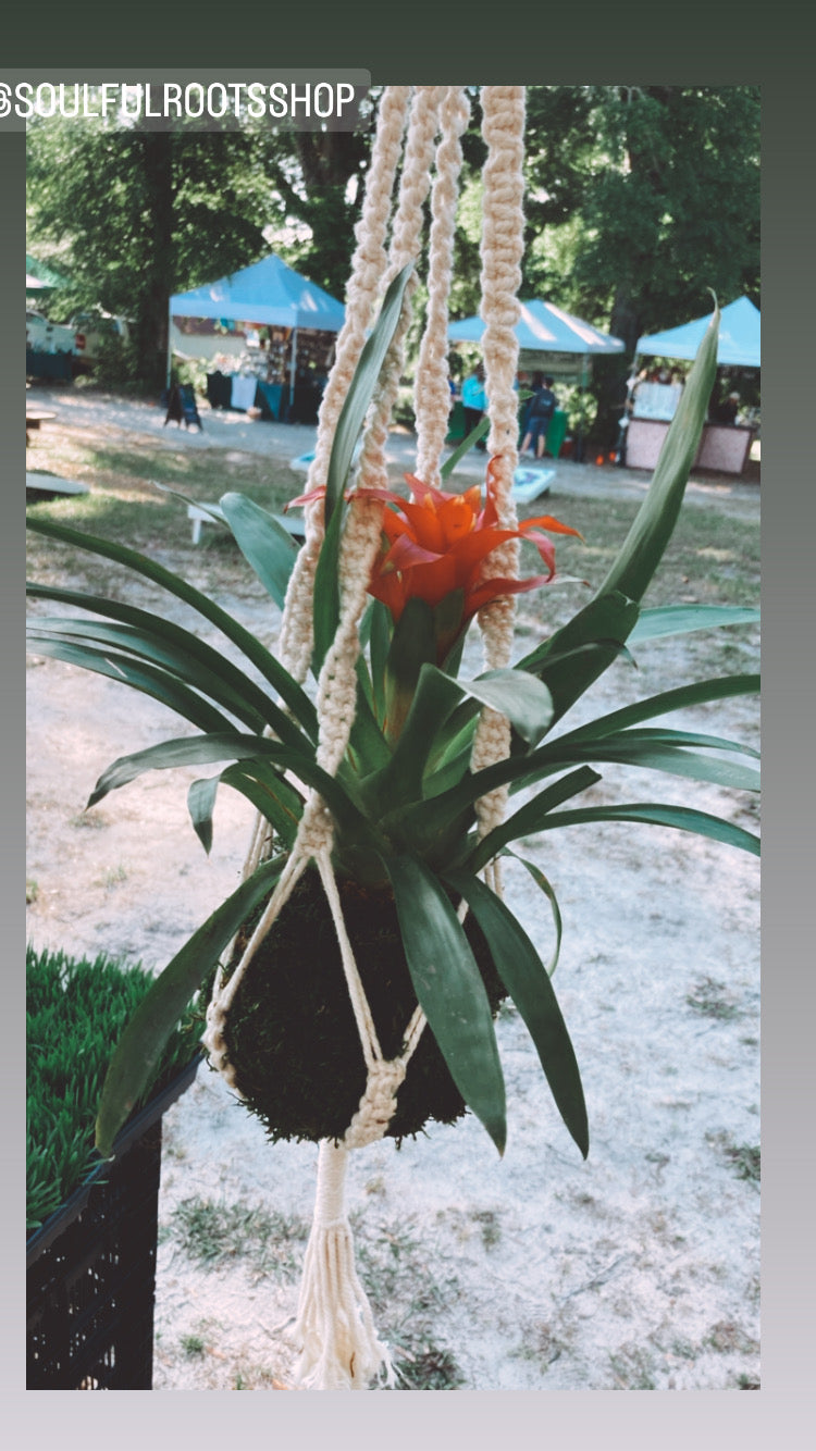Macrame Plant Hanger For Kokedama or Pot